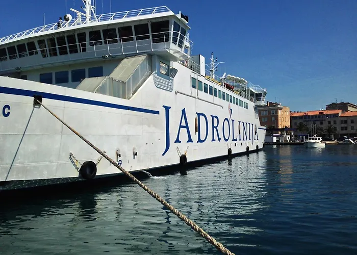 Olive & Sea - Modern Near *