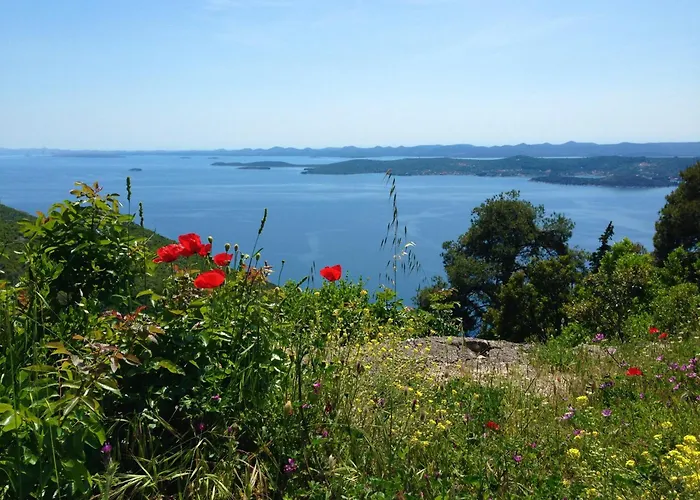 Апартаменты Olive & Sea - Modern Near *