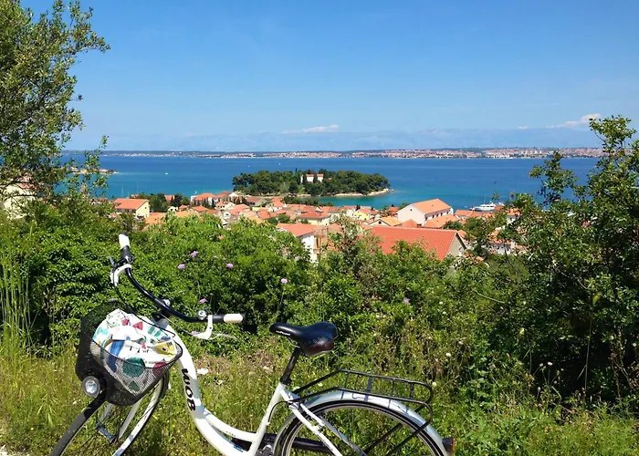 Olive & Sea - Modern Near * Кали