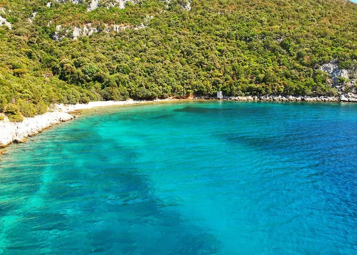 Olive & Sea - Modern Near Апартаменты