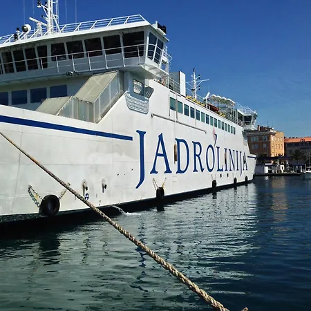 Olive & Sea - Modern Near *