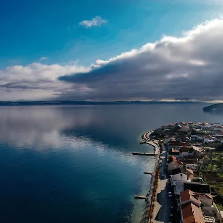 Olive & Sea - Modern Near