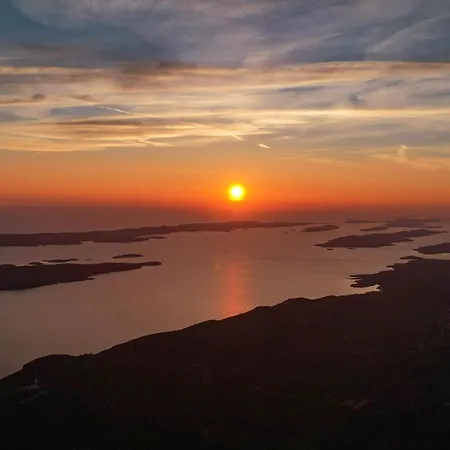 Olive & Sea - Modern Near Daire