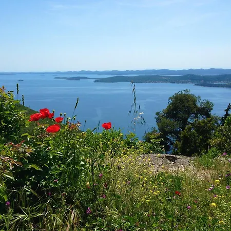 דירה Olive & Sea - Modern Near *