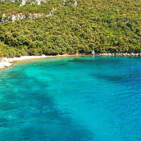 Olive & Sea - Modern Near Daire