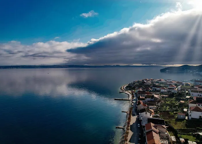 Olive & Sea - Modern Near