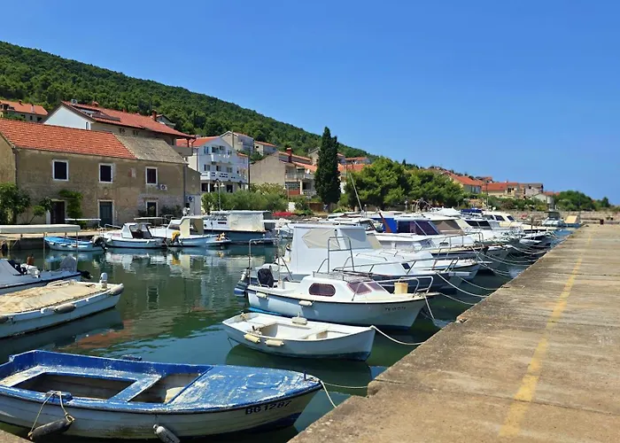 Olive & Sea - Modern Near *