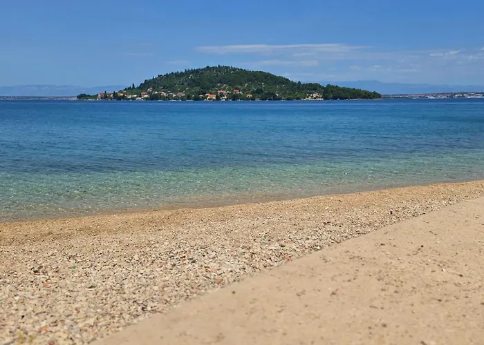 Olive & Sea - Modern Near Kali